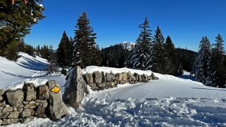Col du Marchairuz - Mont-Tendre Rando 2025