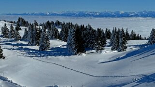 Col du Marchairuz - Mont-Tendre Rando 2025