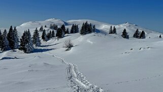 Col du Marchairuz - Mont-Tendre Rando 2025