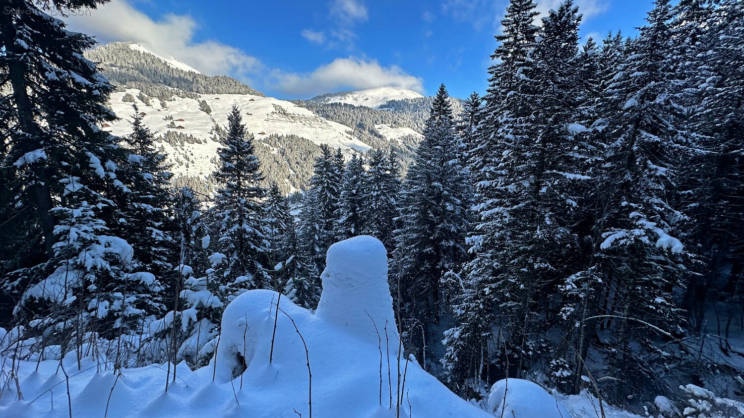 Val de Morgins Rando 2025