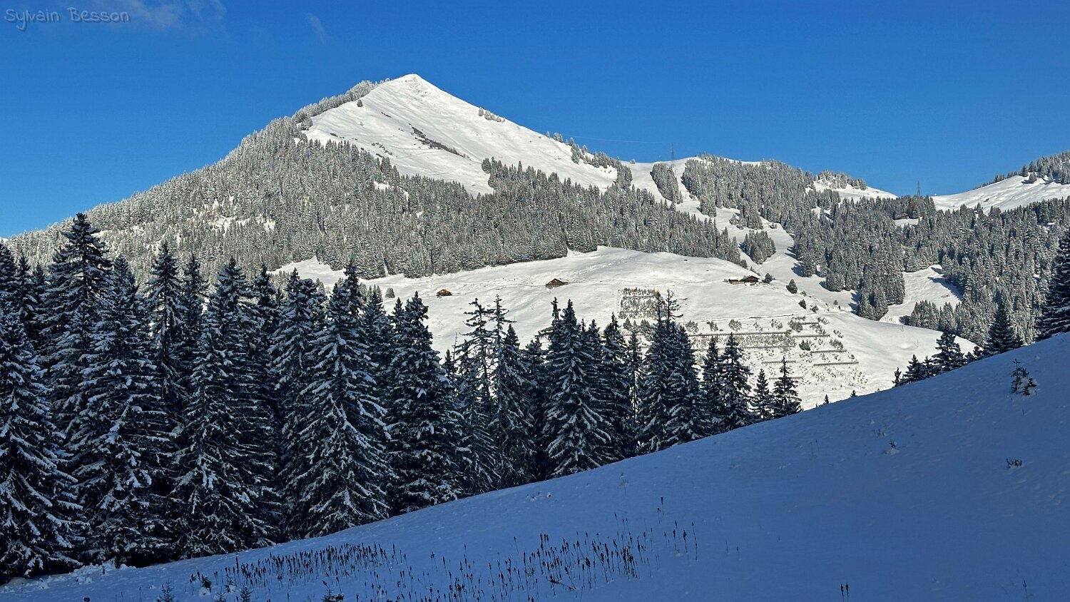 Val de Morgins Rando 2025