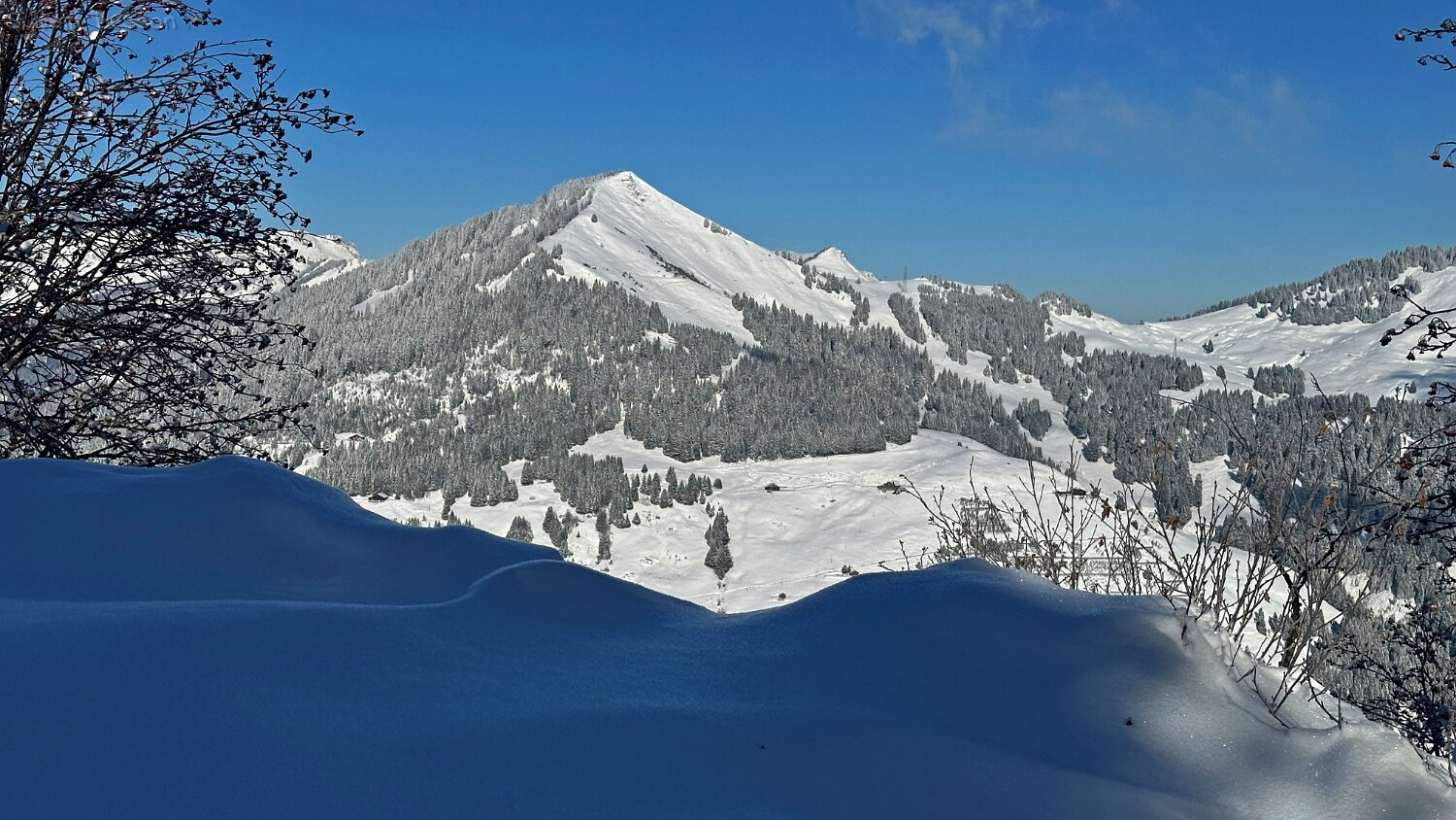 Savolaire - Val de Morgins Rando 2025