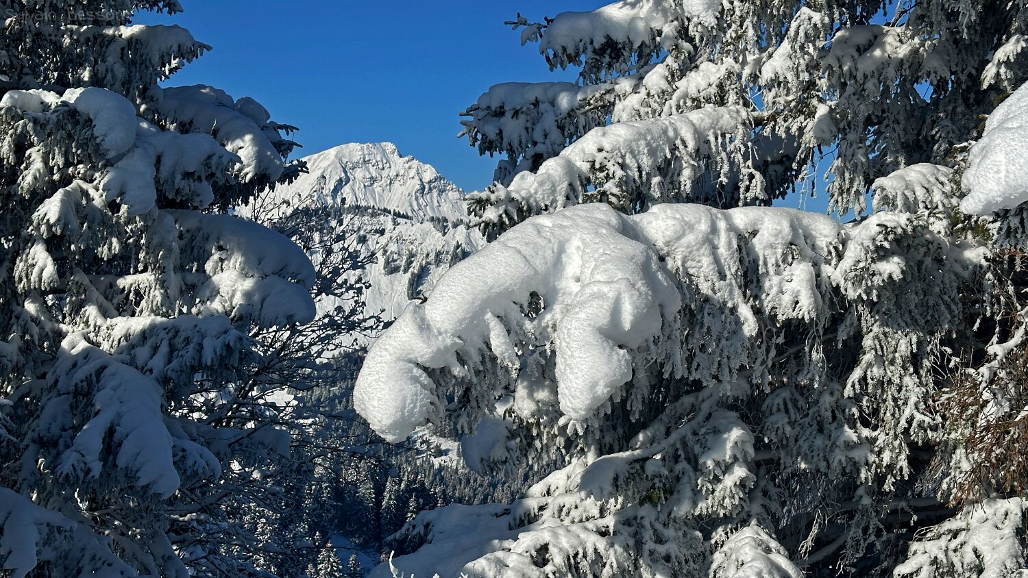 Savolaire - Val de Morgins Rando 2025