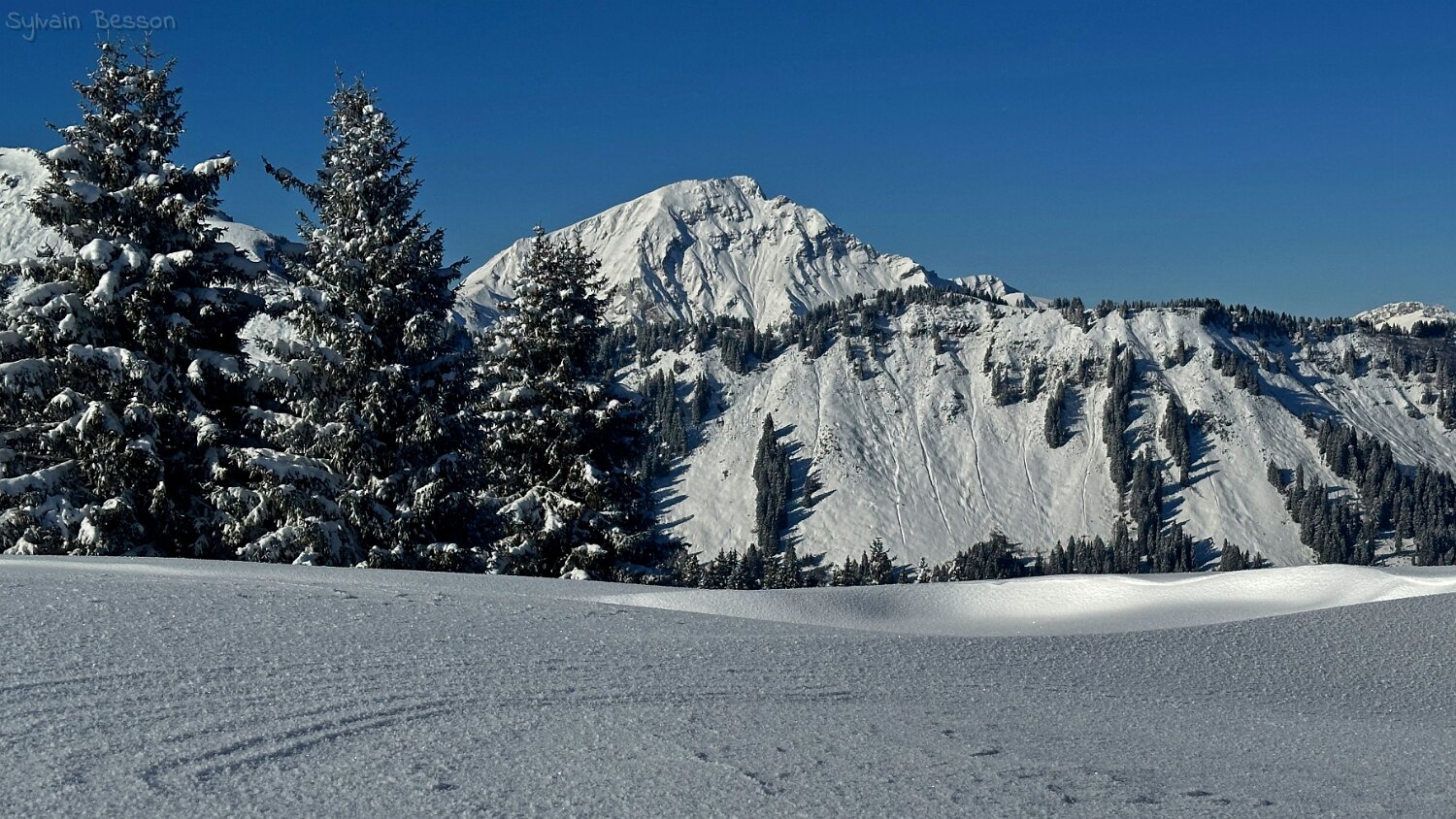 Savolaire - Val de Morgins Rando 2025