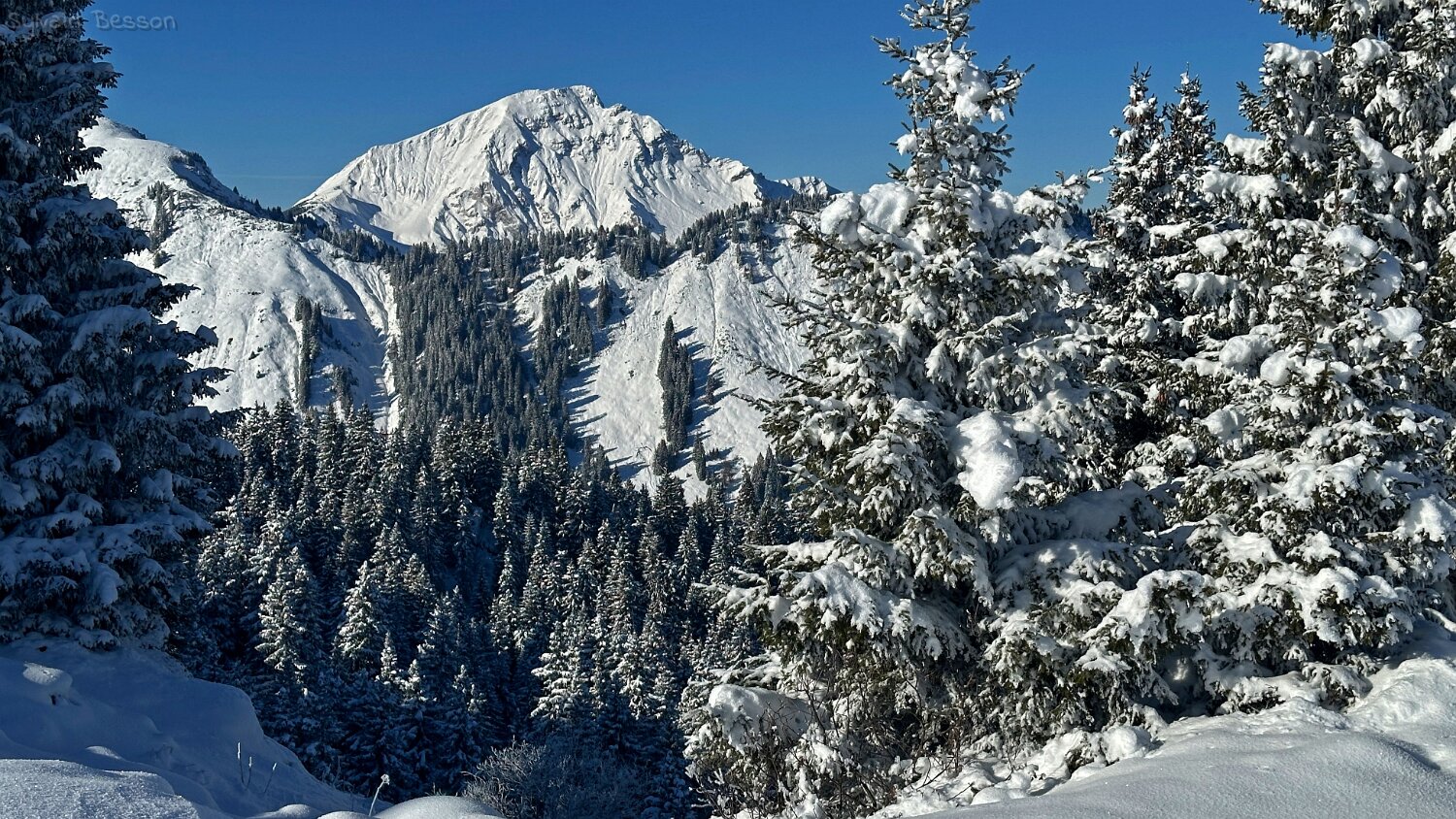 Savolaire - Val de Morgins Rando 2025