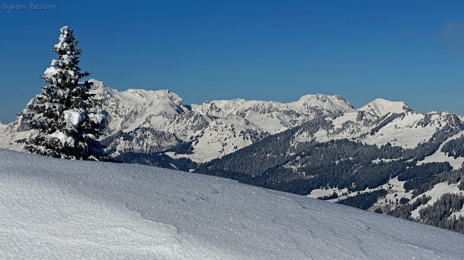 Savolaire - Val de Morgins Rando 2025