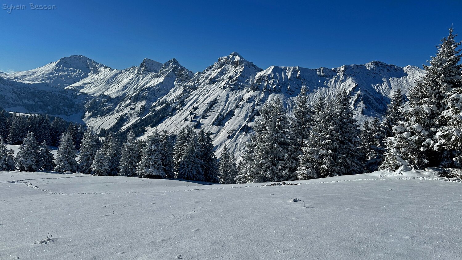 Savolaire - Val de Morgins Rando 2025