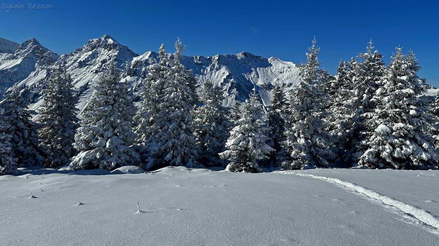 Savolaire - Val de Morgins Rando 2025