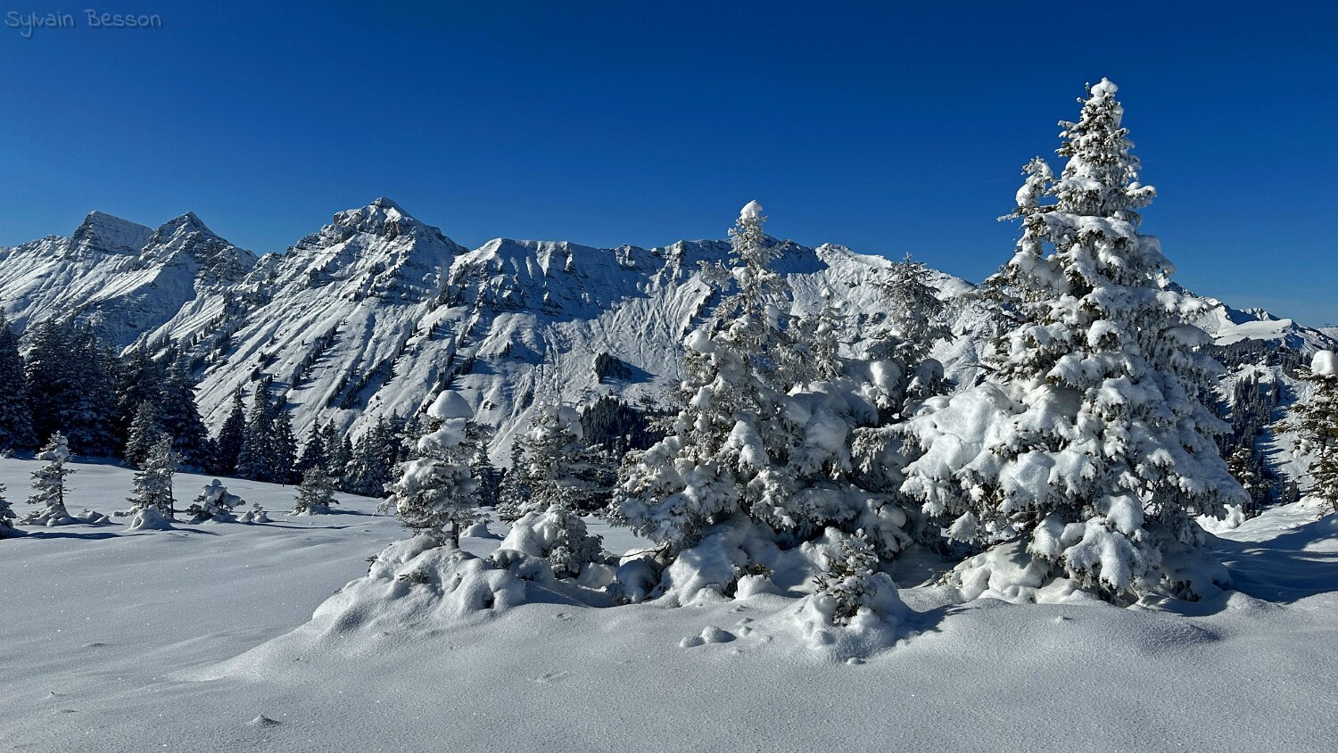 Savolaire - Val de Morgins Rando 2025