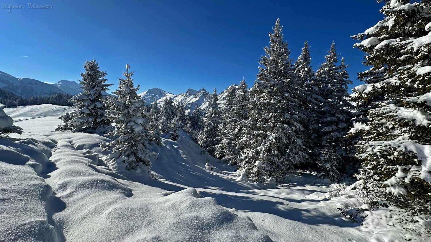 Savolaire - Val de Morgins Rando 2025