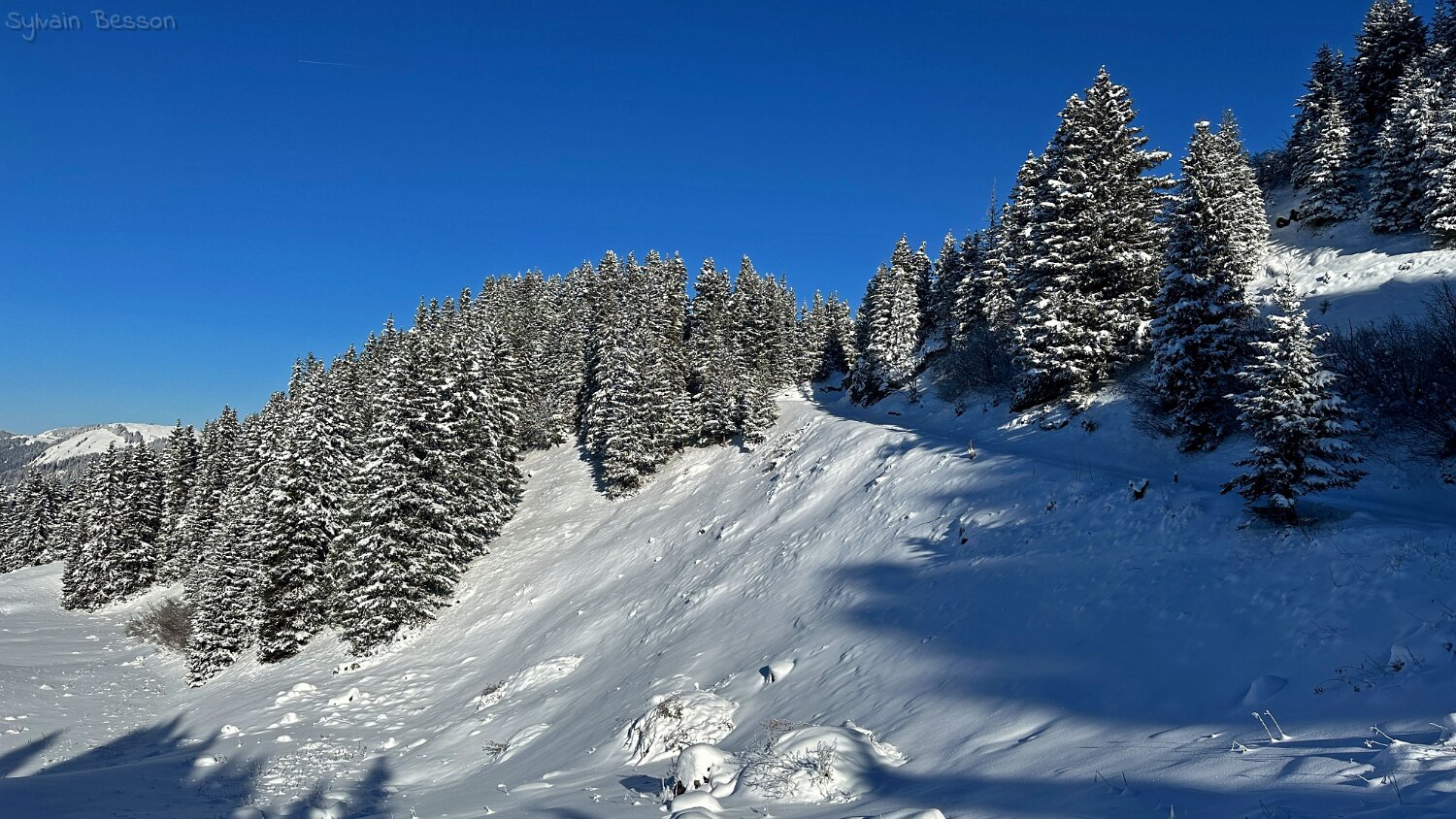 Val de Morgins Rando 2025