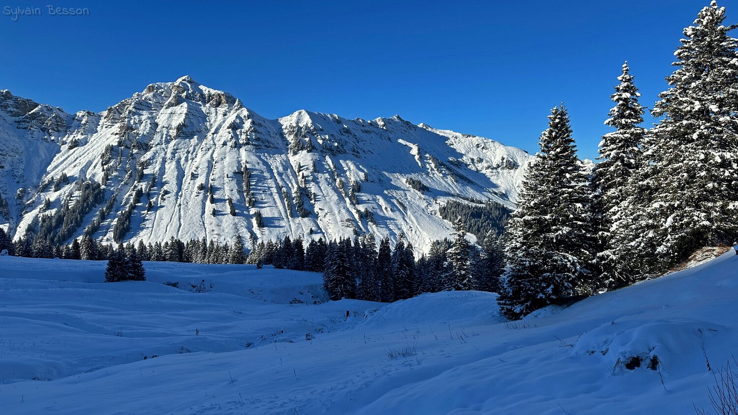 Val de Morgins Rando 2025