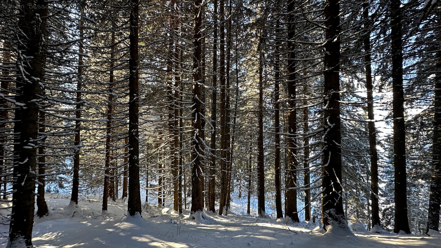 Val de Morgins Rando 2025