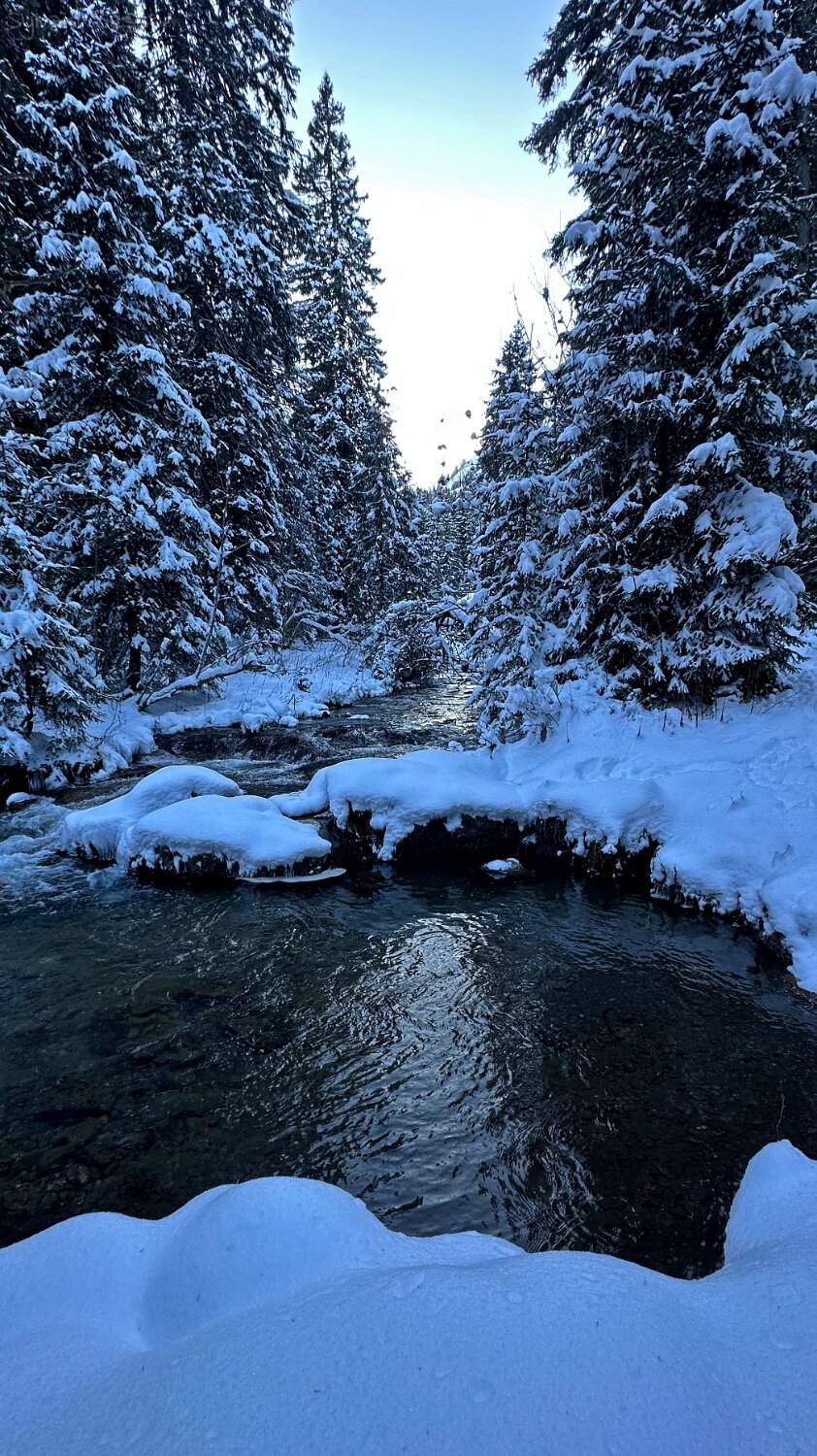 Vièze de Morgins - Val de Morgins Rando 2025