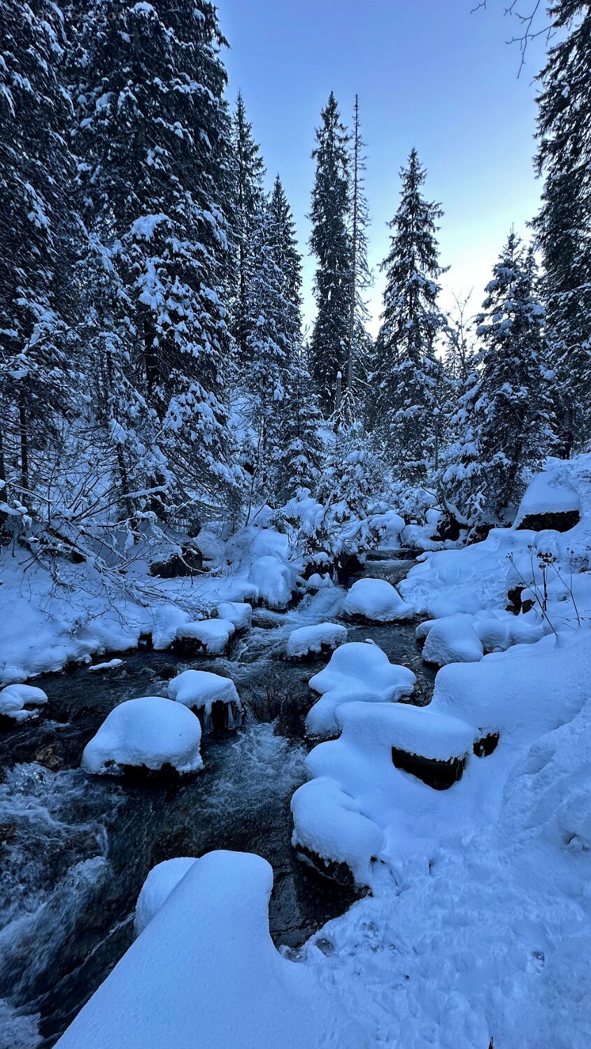 Vièze de Morgins - Val de Morgins Rando 2025