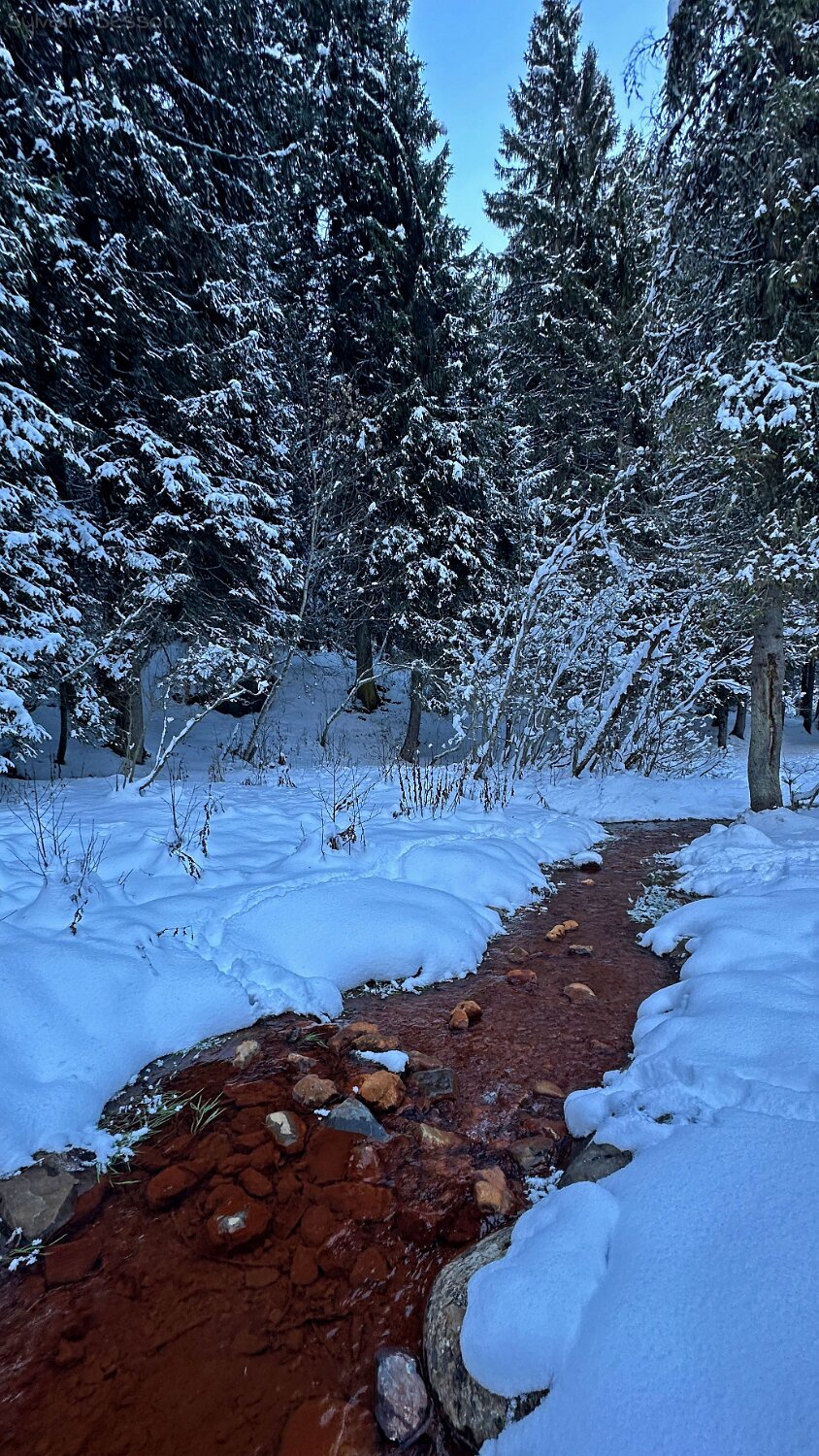 Eau rouge - Vièze de Morgins - Val de Morgins Rando 2025