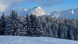 Savolaire - Val de Morgins null