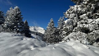 Savolaire - Val de Morgins null