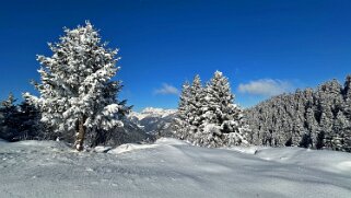 Savolaire - Val de Morgins null