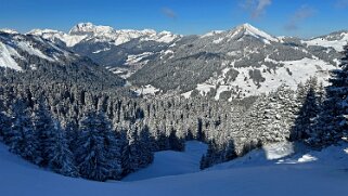 Savolaire - Val de Morgins null
