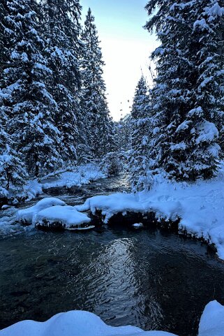 Vièze de Morgins - Val de Morgins null