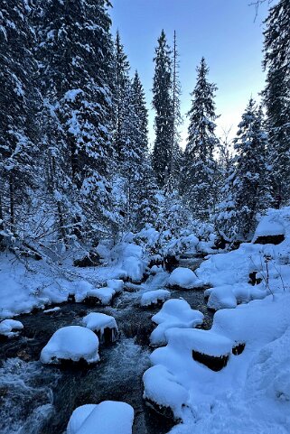 Vièze de Morgins - Val de Morgins null