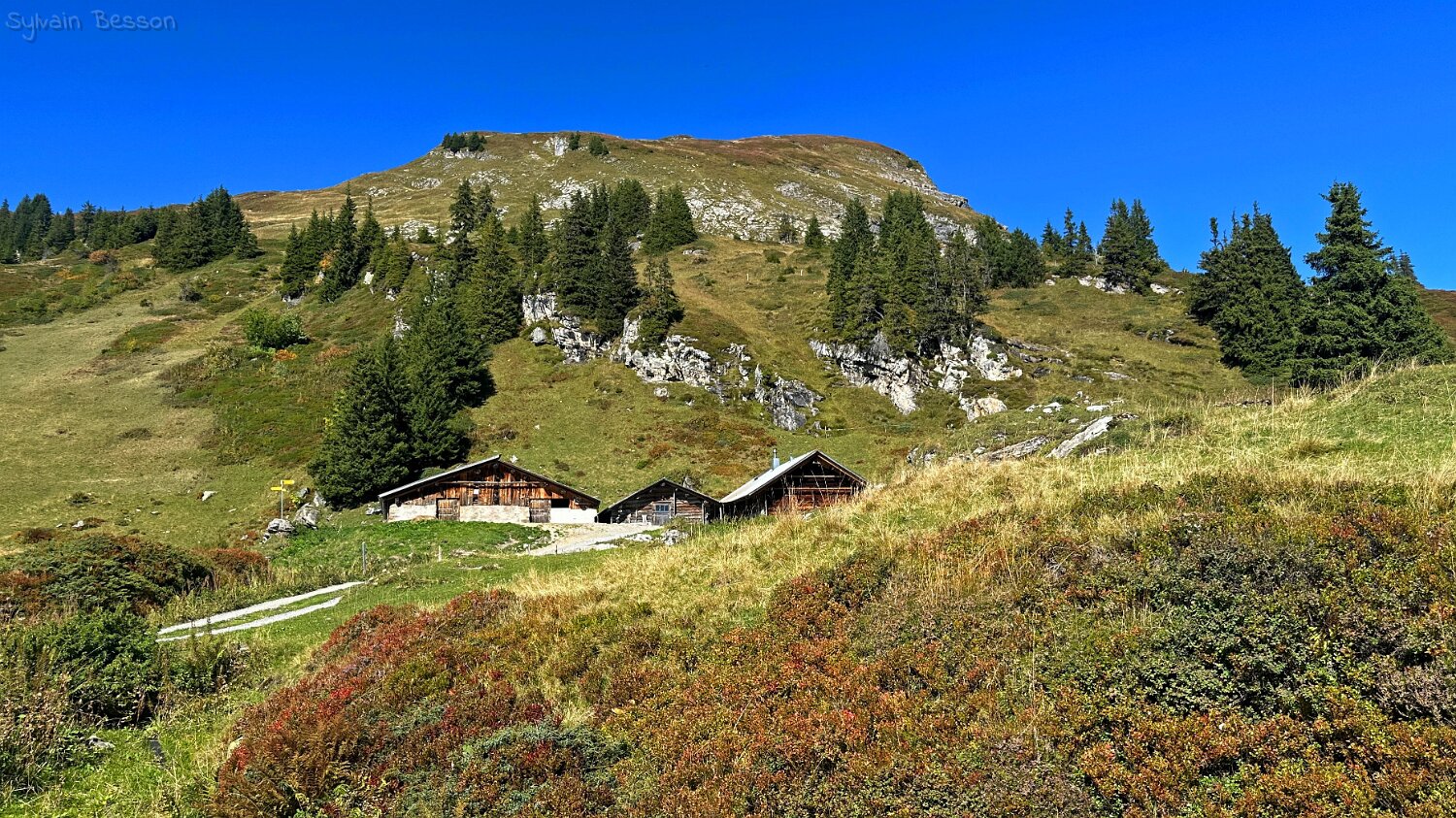 Gemmenalp Rando 2025