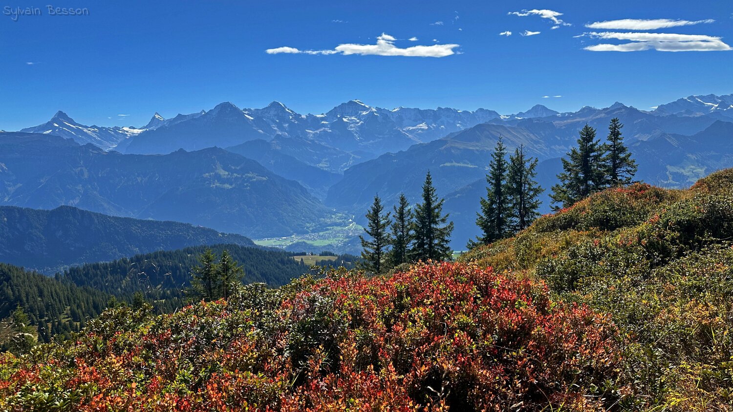 Gemmenalp Rando 2025