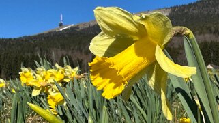 Nods - Chasseral Rando 2025