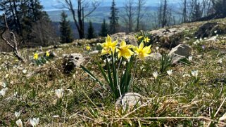 Nods - Chasseral Rando 2025