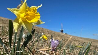 Nods - Chasseral Rando 2025