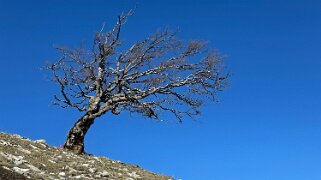 Nods - Chasseral Rando 2025