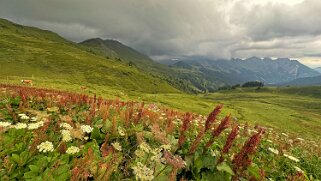 Chalet Vieux Rando 2025