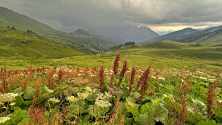 Chalet Vieux Rando 2025