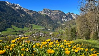 Rossinière - Rougemont, Pays d'Enhaut Rando 2025