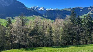 Rossinière - Rougemont, Pays d'Enhaut Rando 2025