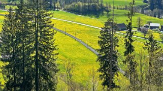 Rossinière - Rougemont, Pays d'Enhaut Rando 2025