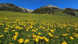 Rossinière - Rougemont, Pays d'Enhaut Rando 2025