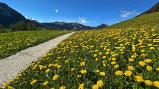 Rossinière - Rougemont, Pays d'Enhaut Rando 2025