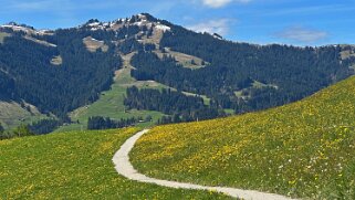 Rossinière - Rougemont, Pays d'Enhaut Rando 2025