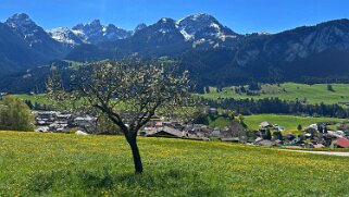 Rossinière - Rougemont, Pays d'Enhaut Rando 2025