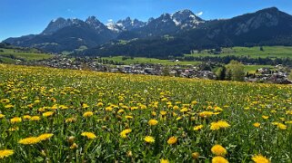 Rossinière - Rougemont, Pays d'Enhaut Rando 2025