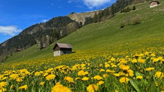 Rossinière - Rougemont, Pays d'Enhaut Rando 2025