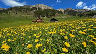 Rossinière - Rougemont, Pays d'Enhaut Rando 2025