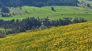 Rossinière - Rougemont, Pays d'Enhaut Rando 2025