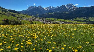 Rossinière - Rougemont, Pays d'Enhaut Rando 2025