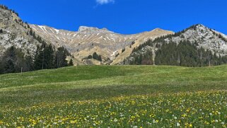 Rossinière - Rougemont, Pays d'Enhaut Rando 2025