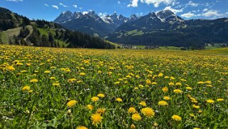 Rossinière - Rougemont, Pays d'Enhaut Rando 2025
