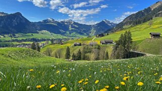 Rossinière - Rougemont, Pays d'Enhaut null
