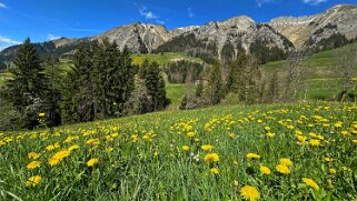 Rossinière - Rougemont, Pays d'Enhaut Rando 2025